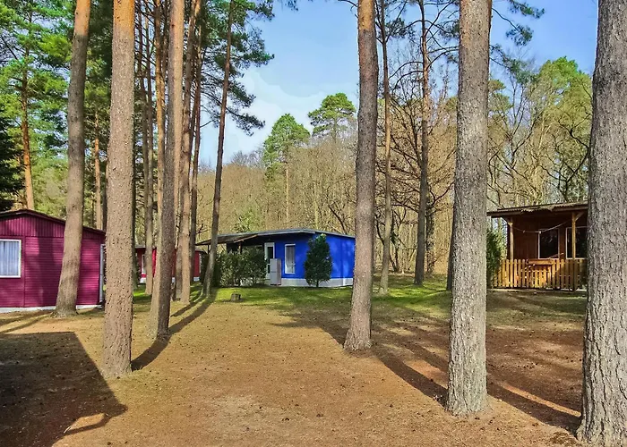 Fh Maisgelb * Warenthin